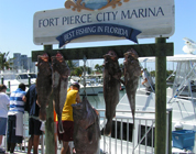 Fort Pierce Marina Grouper 