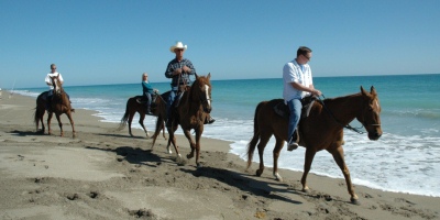 Horseback Riding on the Beach in Fort Pierce