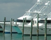 Pelican Yacht Club 