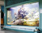St. Lucie County Aquarium featuring the Smithsonian Ecosytems Exhibit 