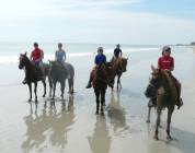 Beach Tours on Horseback 