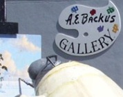 A.E. Backus Museum & Gallery 